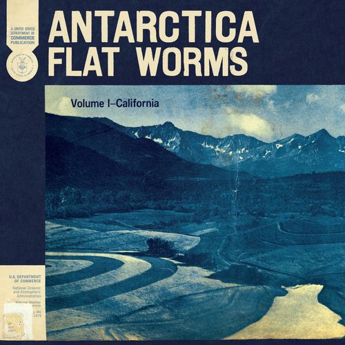 Flat Worms - Antarctica (2020)