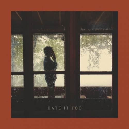 Hate It Too - Lampshading (2020)