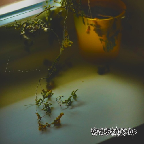 Innvn - Hesitating. Possibly underestimating (2020)