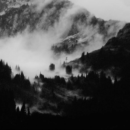 Vir - Occulta Alpinae (2020)