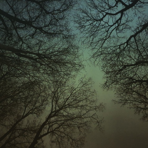 Acid Sommelier - Thirteen Winters and a Spring (2020)