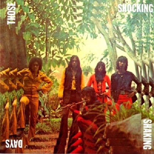 VA - Those Shocking Shaking Days - 1970-78 (2011)