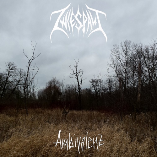Zwiespalt - Ambivalenz (2020)