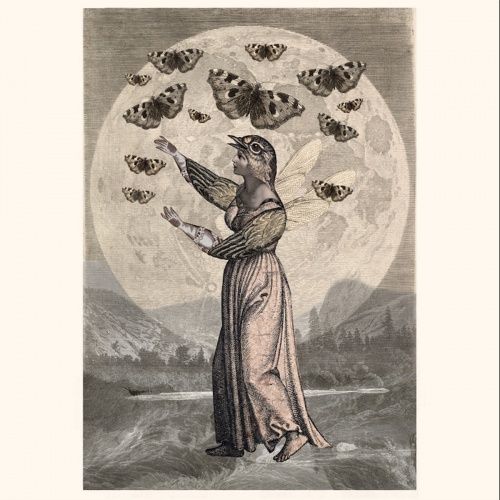 Embertides - Between Trees and Starlike (2020)