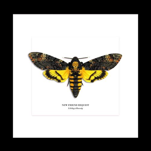 New Friend Request - Lélekgyilkosság (2020)