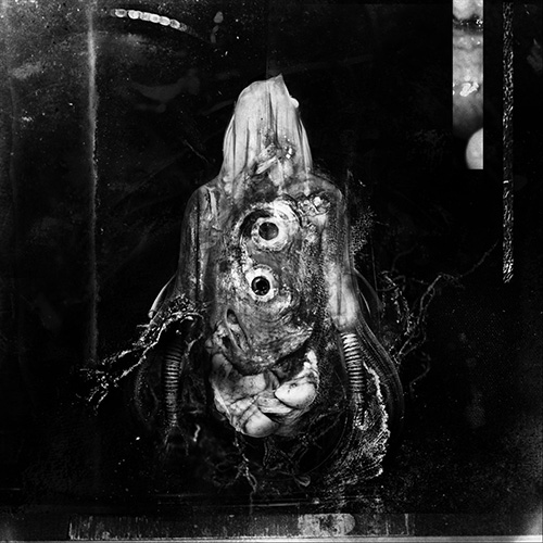 They Come Crawling - They Come Crawling (2020)