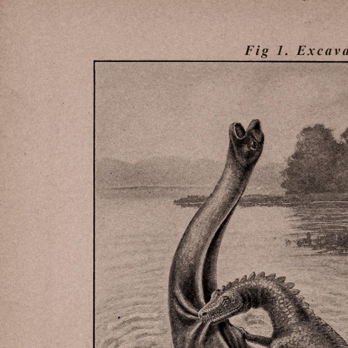 Brontosaurus - Excavation (2020)