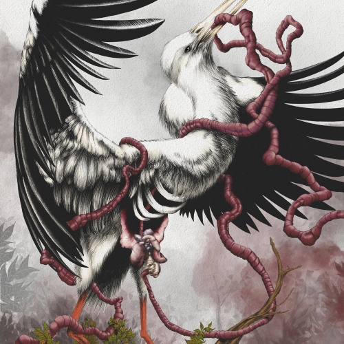 grace.will.fall - Barren by Design (2020)