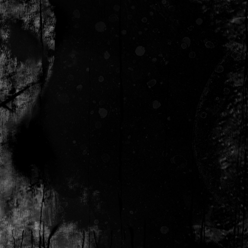 Reflections - Willow Instrumental (2020)