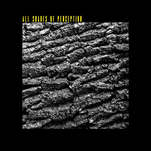 Andromeda Space Ritual - All Shades Of Perception (2020)