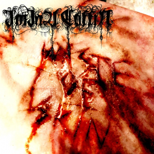 I'm in a Coffin - Waste of Skin (2020)