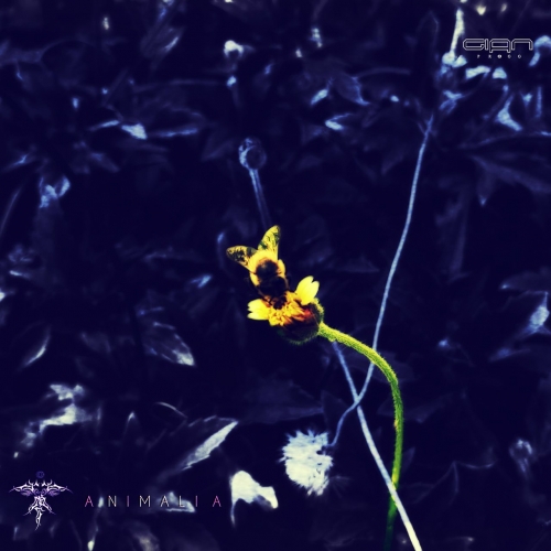 Gian Progg - Animalia (2020)