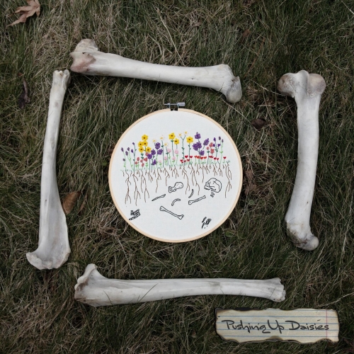 Rakefire - Pushing Up Daisies (2020)