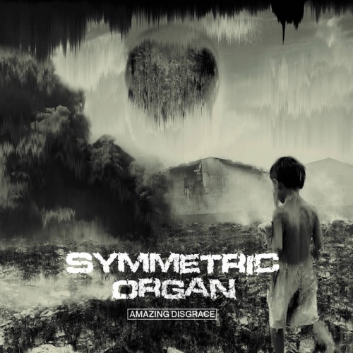 Symmetric Organ - Amazing Disgrace (2020)
