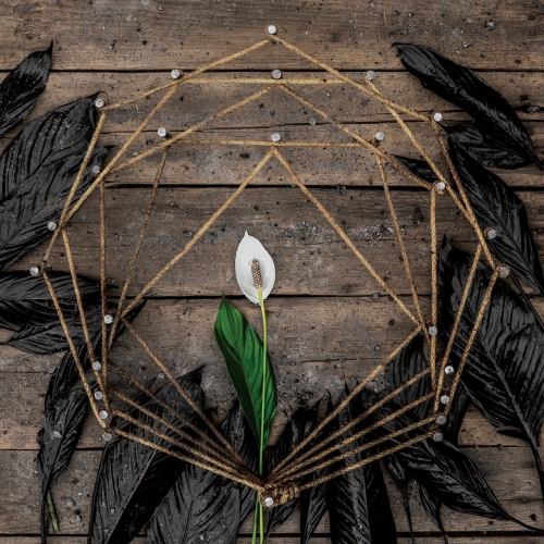 Skein - Distances (2020)