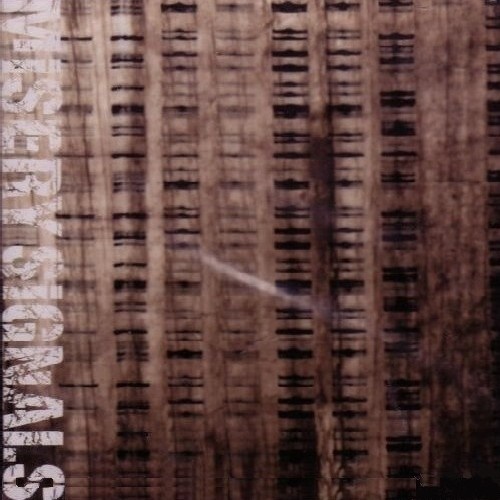 Misery Signals - Discography (2003-2020)