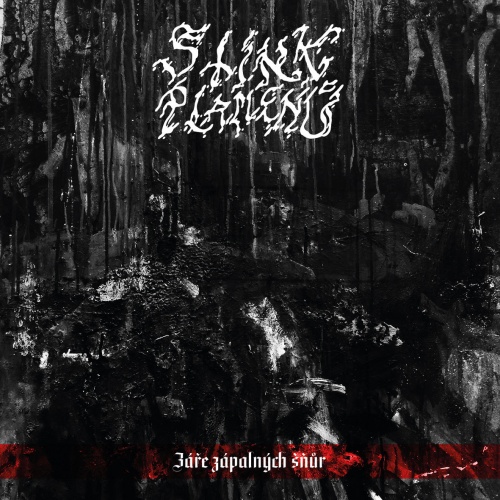 Stíny Plamenů - Zare Zapalnych Snur (2020)