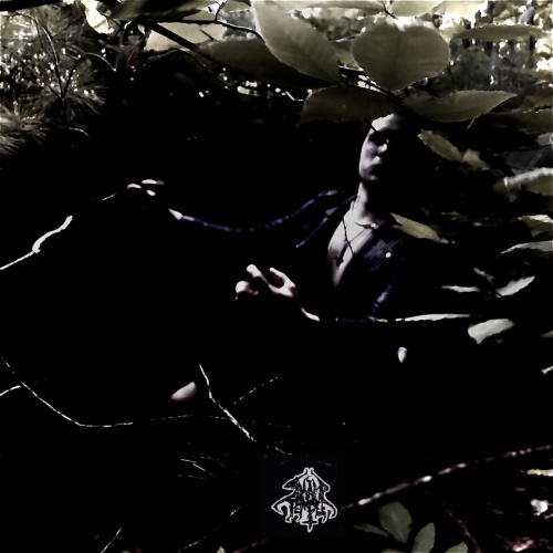 Swamp Temple - Descending from the High Heavens (2020)