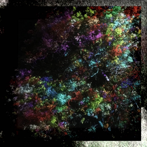 Nagaarum - Covid Diaries (2020)