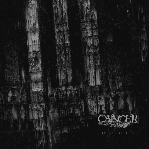 Cancer - Opioid (2020)