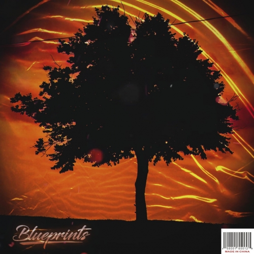 Blueprint's - Made in China (2020)