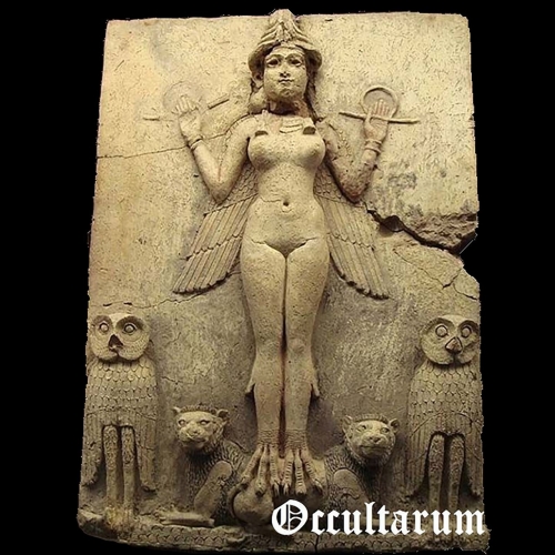 Occultarum - Successio in abruptum (2020)