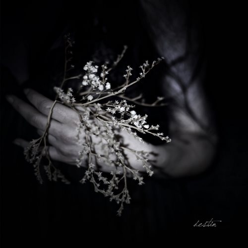 Clouds - Dеstin (2017)