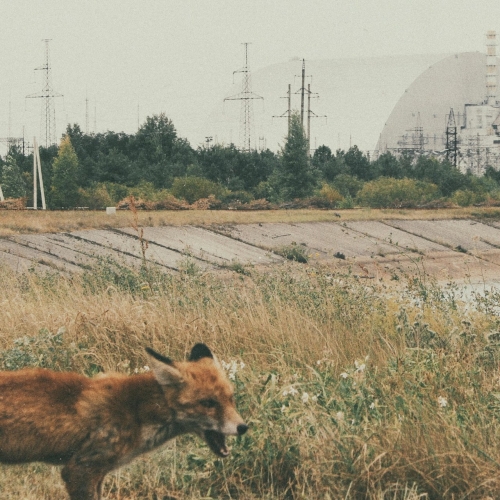 Threestepstotheocean - Del fuoco (2020)