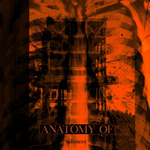 Anatomy Of - Splinters (2020)