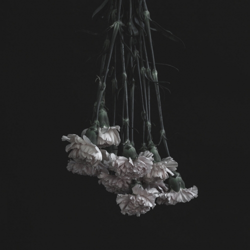 Horsewhip - Laid to Waste (2020)