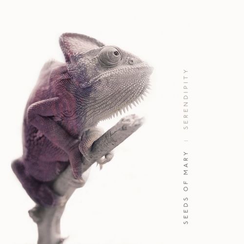 Seeds Of Mary - Serendipity (2020)