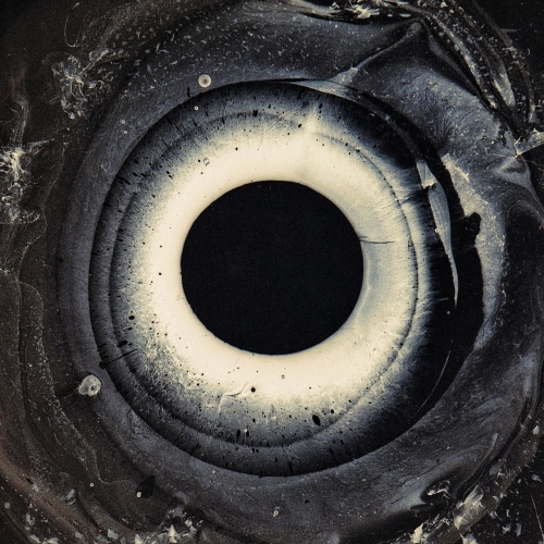 Sons of Cloda - Evacuation (2019)