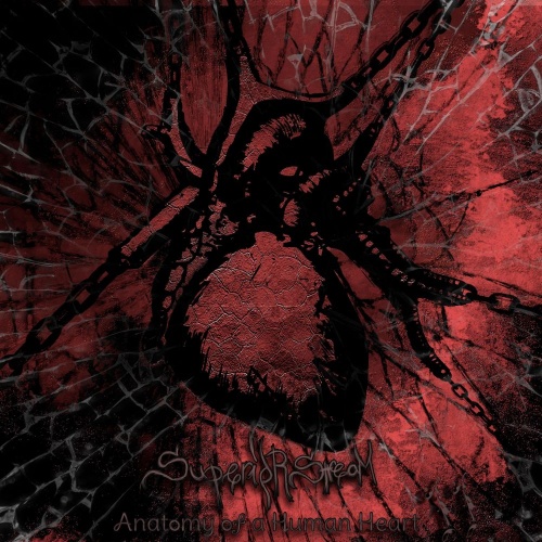 Superior Stream - Anatomy Of A Human Heart, Pt. 2 (2020)