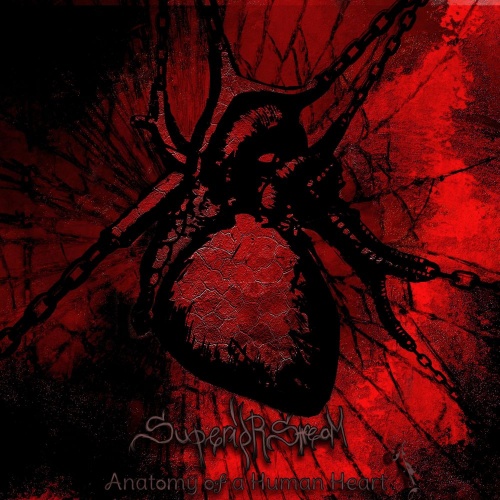 Superior Stream - Anatomy Of A Human Heart, Pt. 1 (2020)