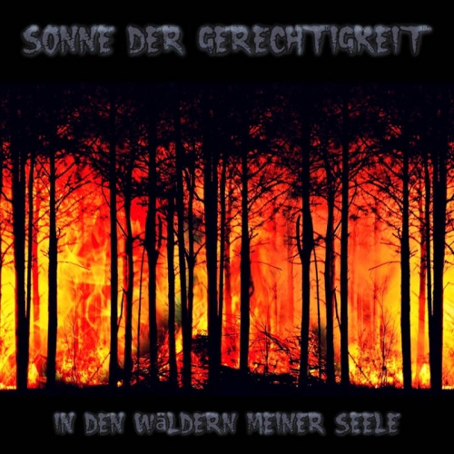 Sonne Der Gerechtigkeit - In Den Wäldern Meiner Seele (2020)