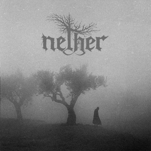 Nether - Between Shades and Shadows (2020)
