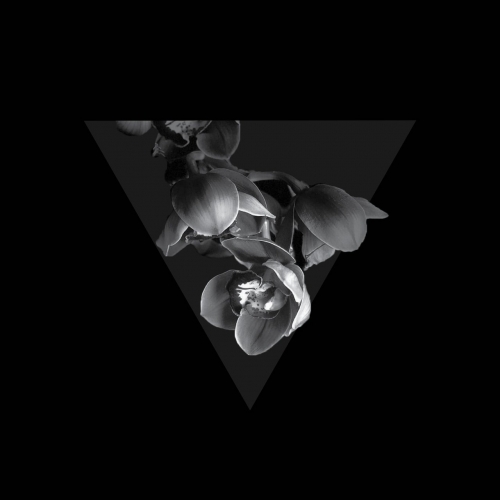 Quattracenta - II (2020)