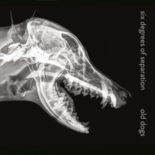 Six Degrees of Separation - Old Dogs (2020)