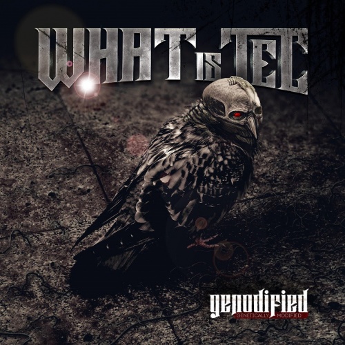 What is TEC - Genodified (2020)