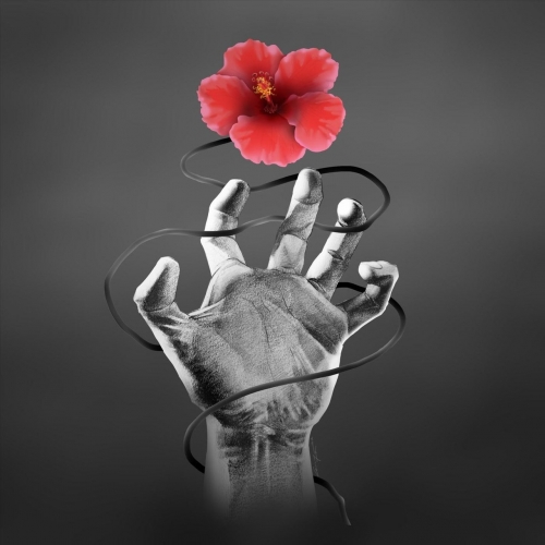 Andy Anderson - Stories... (2020)