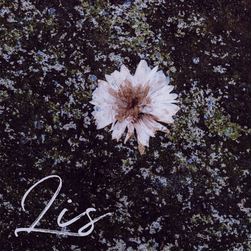 Path To Nihil - Lis (2020)