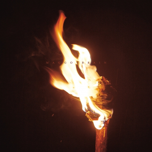 Maggot Brain - Illumine (2020)