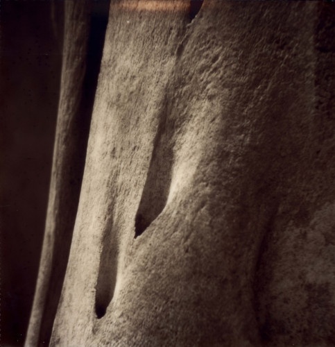 Névoa - Towards Belief (2020)