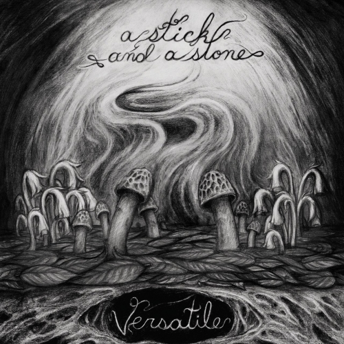 A Stick and a Stone - Versatile (2021)