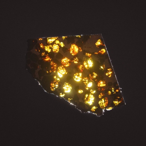 unknown fault - fabric (2021)