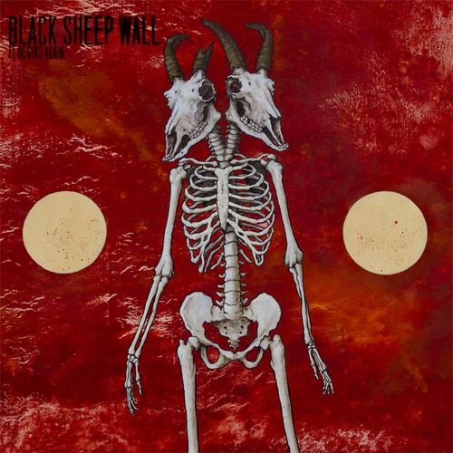 Black Sheep Wall - Discography (2008-2021)