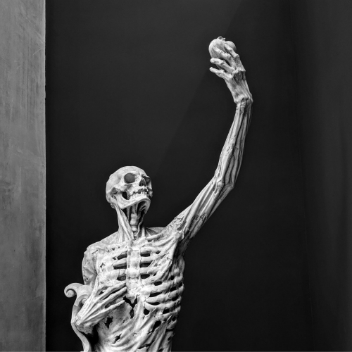 Poly-Math - The Cadaver Tomb Pt.1 (2021)