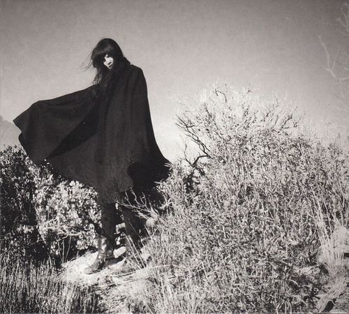 Wolvennest - Discography (2016-2021)