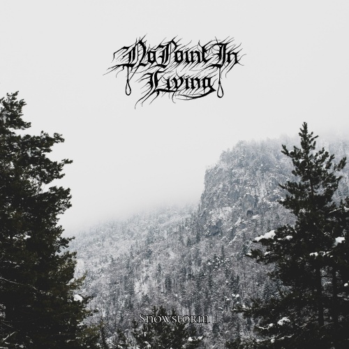 No Point In Living - Snowstorm (2021)