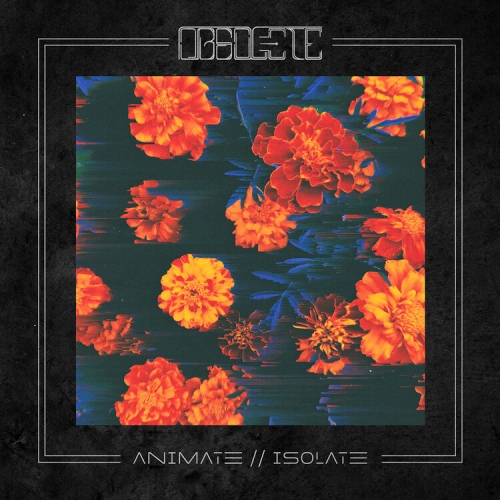 Obsolete - Animate//Isolate (2021)